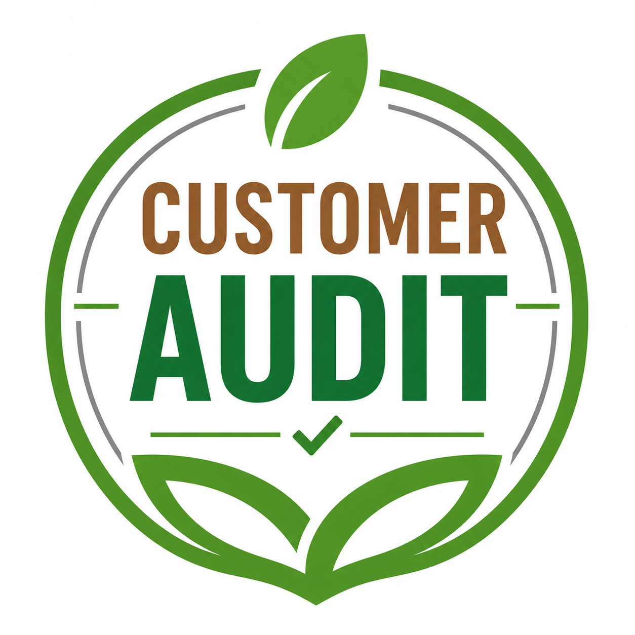 Customer Audit